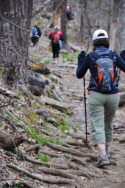 hike photo for page.jpg