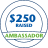 TeamRaiser Achievement Badge